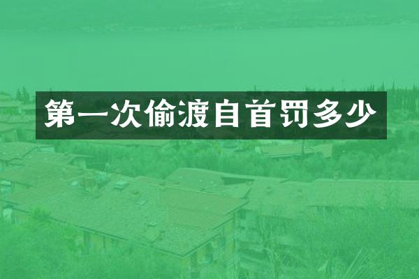 第一次偷渡自首罚多少