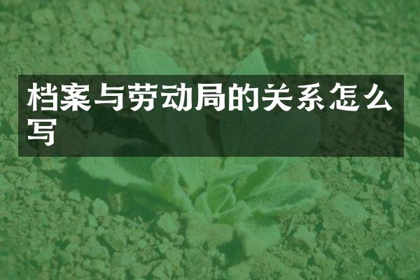 档案与劳动局的关系怎么写