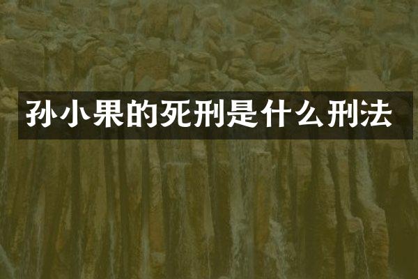 孙小果的死刑是什么刑法