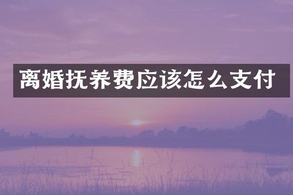 离婚抚养费应该怎么支付