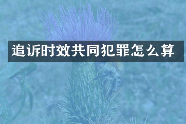 追诉时效共同犯罪怎么算