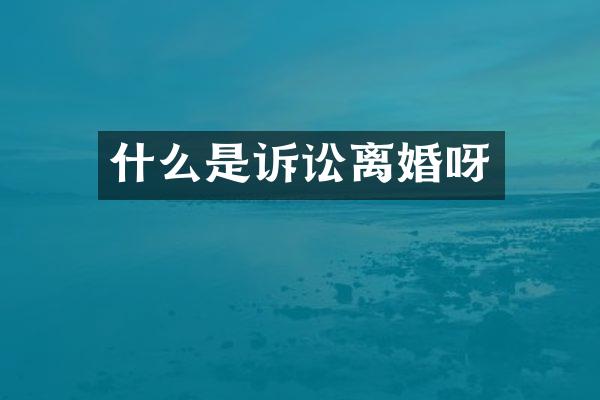 什么是诉讼离婚呀