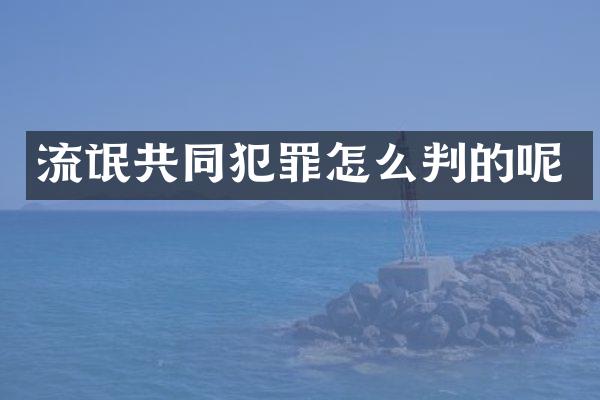 流氓共同犯罪怎么判的呢