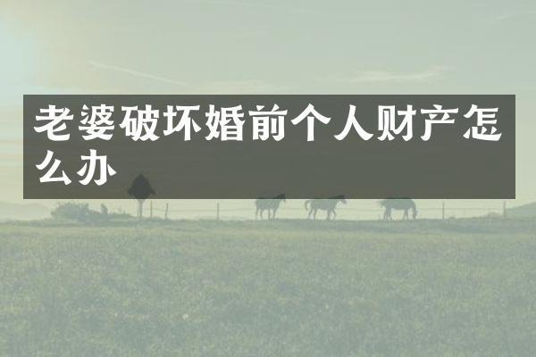 老婆破坏婚前个人财产怎么办
