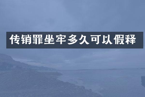 传销罪坐牢多久可以假释