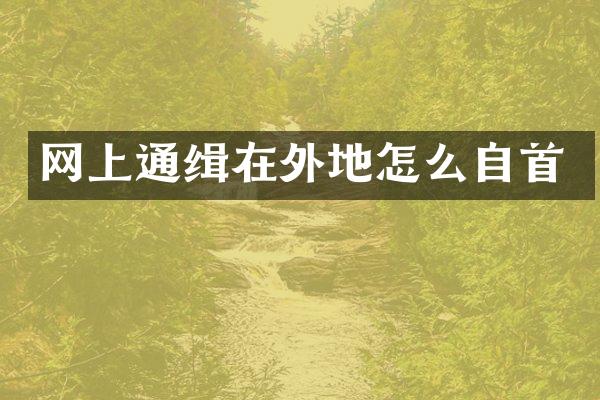 网上通缉在外地怎么自首