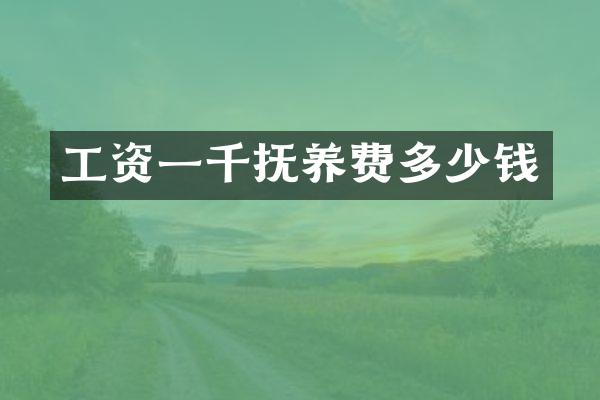 工资一千抚养费多少钱