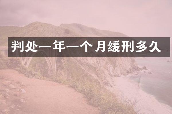 判处一年一个月缓刑多久