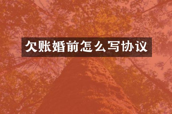 欠账婚前怎么写协议
