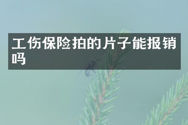 工伤保险拍的片子能报销吗