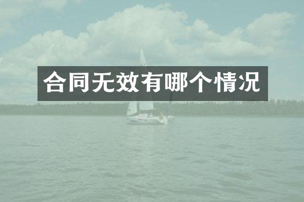 合同无效有哪个情况