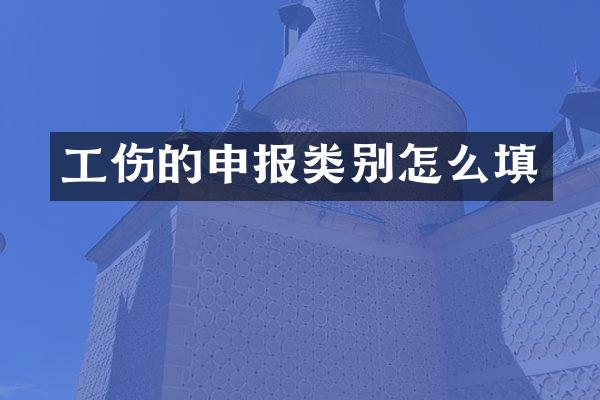 工伤的申报类别怎么填