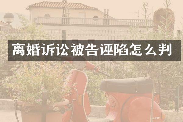 离婚诉讼被告诬陷怎么判