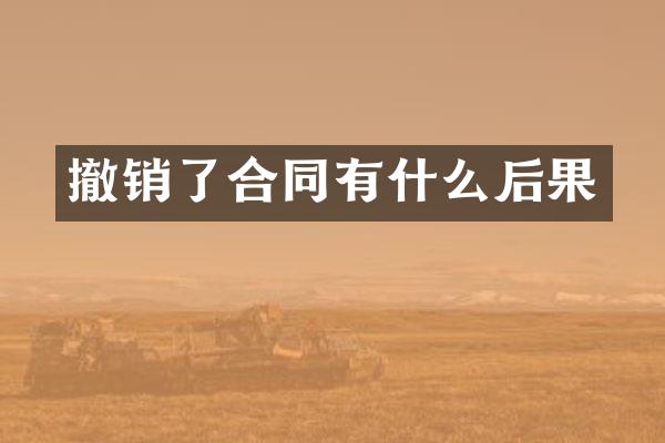 撤销了合同有什么后果