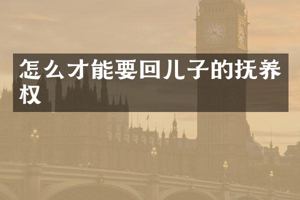 怎么才能要回儿子的抚养权