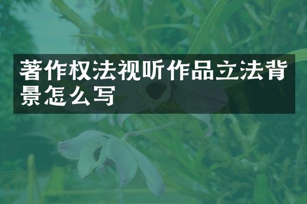 著作权法视听作品立法背景怎么写