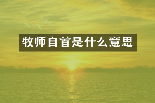 牧师自首是什么意思