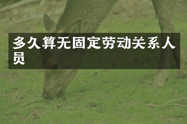 多久算无固定劳动关系人员