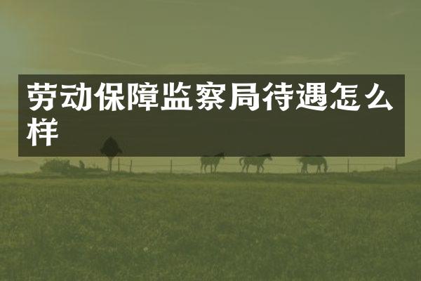 劳动保障监察局待遇怎么样