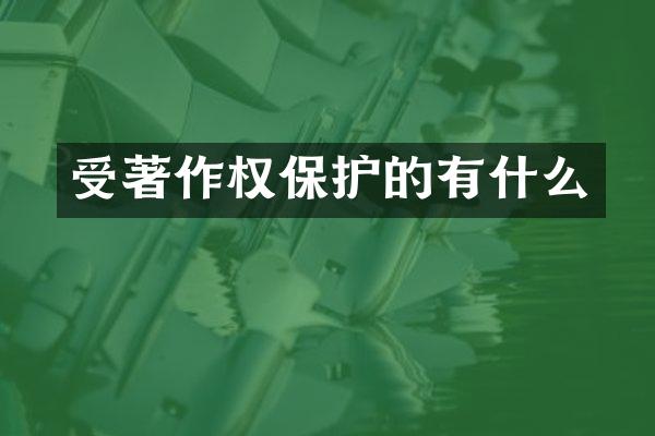 受著作权保护的有什么