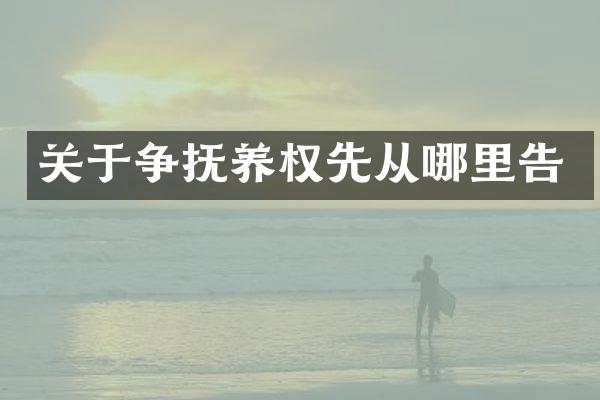 关于争抚养权先从哪里告