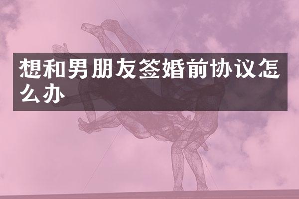 想和男朋友签婚前协议怎么办