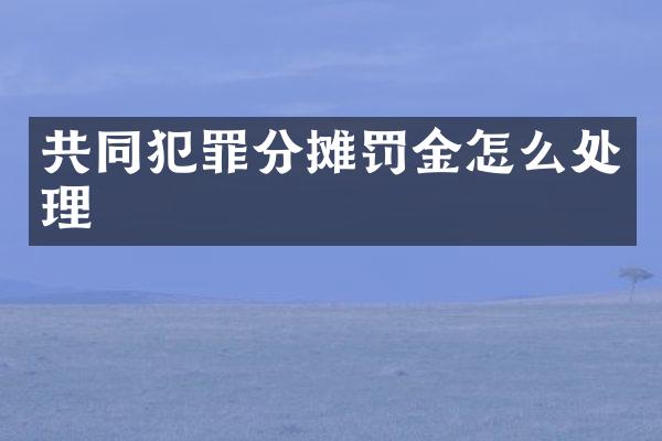 共同犯罪分摊罚金怎么处理