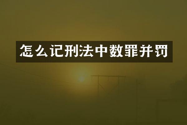 怎么记刑法中数罪并罚