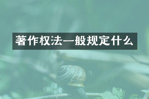 著作权法一般规定什么