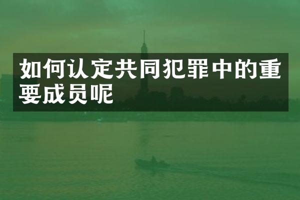 如何认定共同犯罪中的重要成员呢