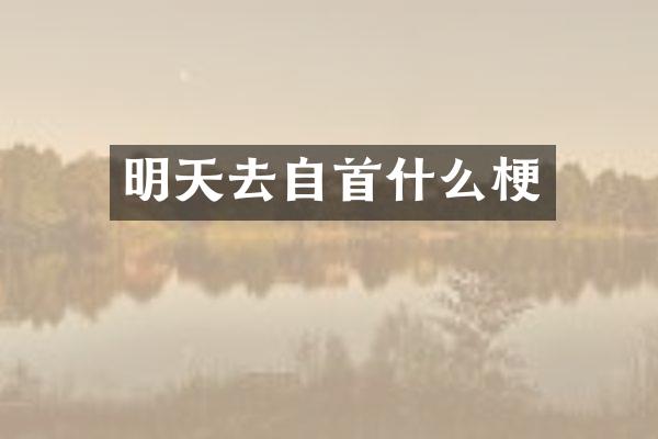 明天去自首什么梗
