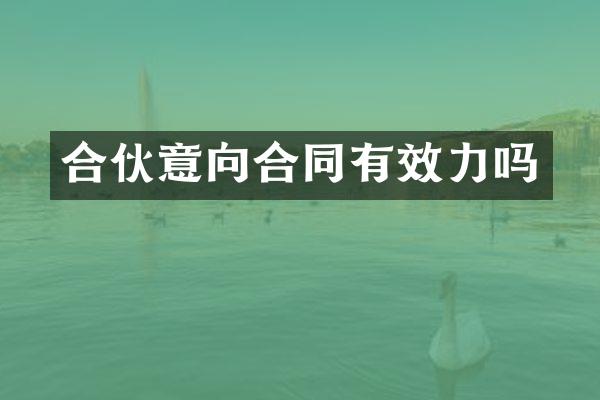 合伙意向合同有效力吗