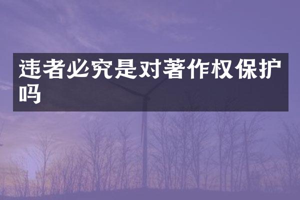 违者必究是对著作权保护吗