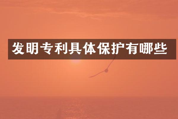 发明专利具体保护有哪些