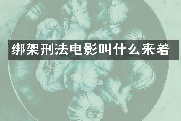 绑架刑法电影叫什么来着