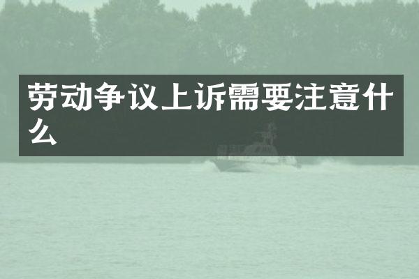 劳动争议上诉需要注意什么
