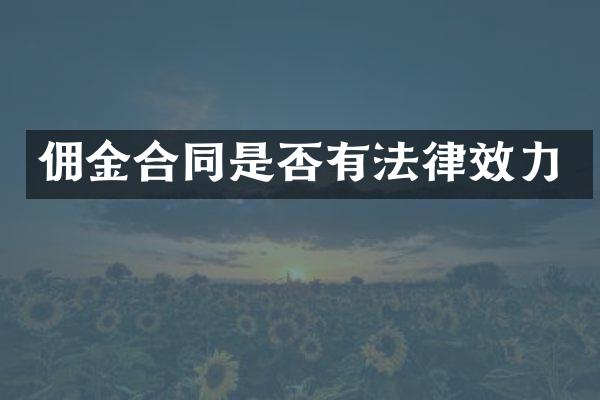 佣金合同是否有法律效力