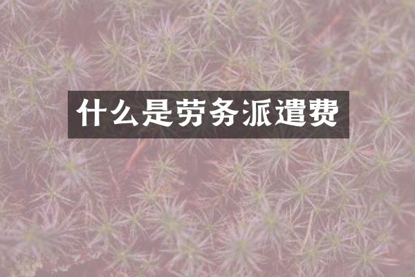 什么是劳务派遣费