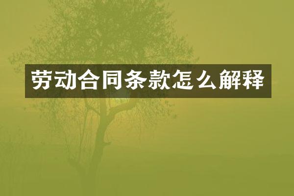 劳动合同条款怎么解释