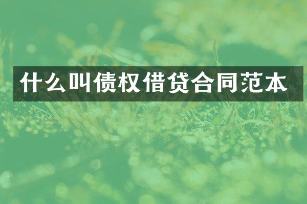 什么叫债权借贷合同范本