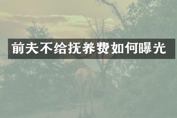 前夫不给抚养费如何曝光
