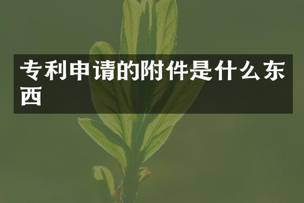 专利申请的附件是什么东西