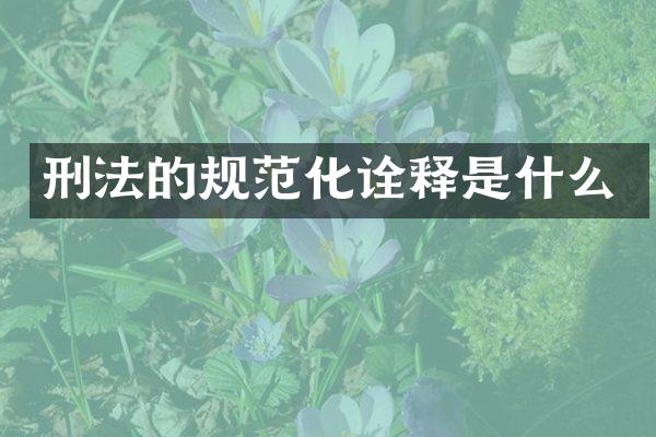 刑法的规范化诠释是什么