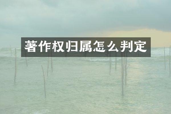 著作权归属怎么判定