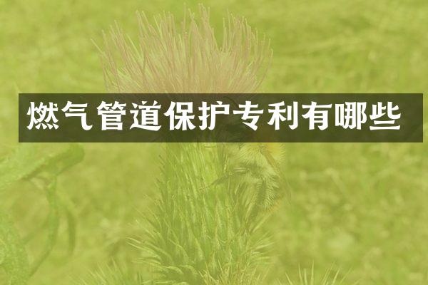 燃气管道保护专利有哪些