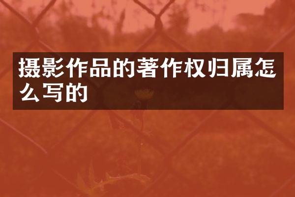 摄影作品的著作权归属怎么写的