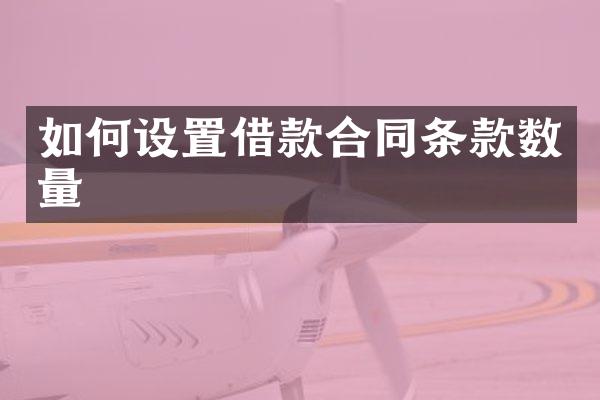 如何设置借款合同条款数量