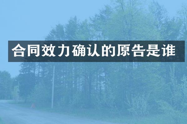 合同效力确认的原告是谁