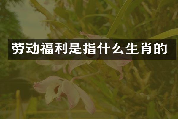 劳动福利是指什么生肖的