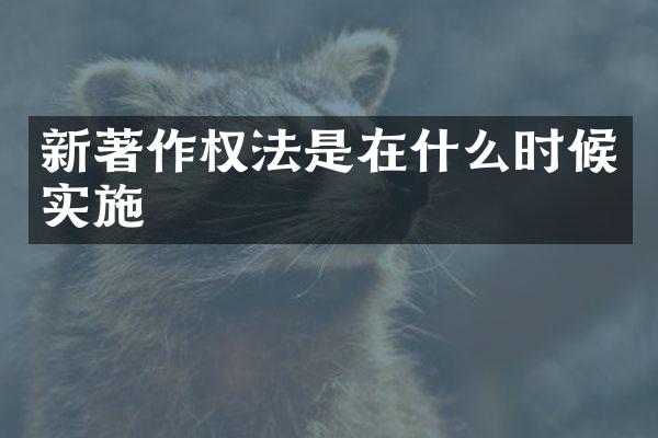 新著作权法是在什么时候实施